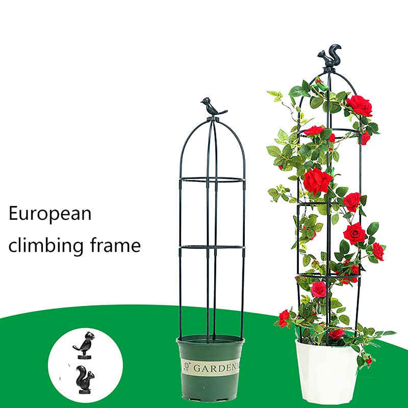 New DIY Flower Vine Climbing P - مراجعة Vine Climbing Plastic وسعره