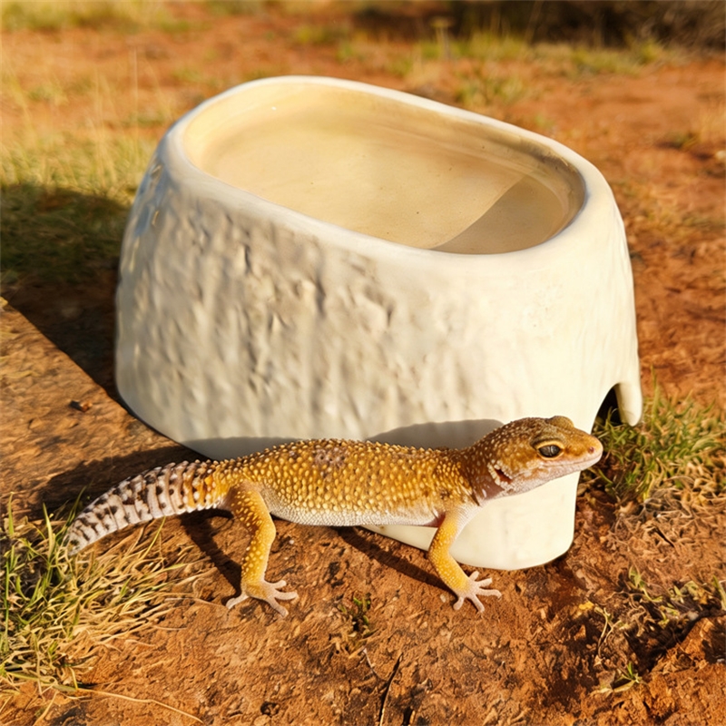 Ceramic Leopard Print Humid Hi - مراجعة Hide Cave Ceramic وسعره