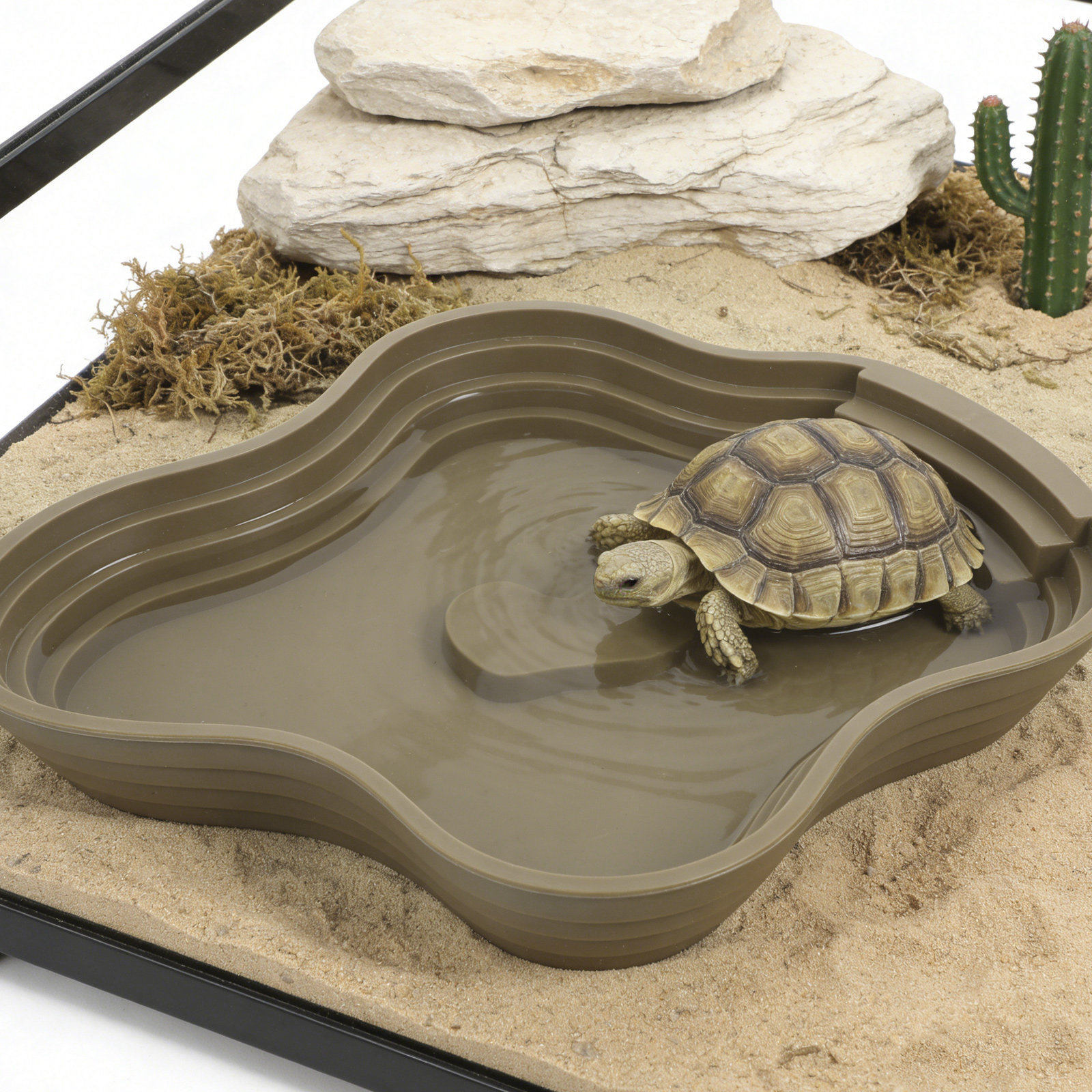 Large Turtle Reptile Bathing P - مراجعة Water Dish Reptile وسعره