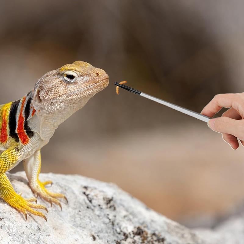 Extra Long Reptile Feeding Ton - مراجعة Feeding Tong Stainless وسعره