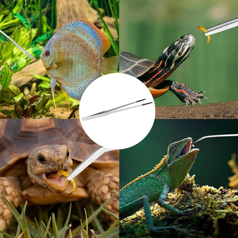 Extra Long Reptile Feeding Ton - مراجعة Feeding Tong Stainless وسعره