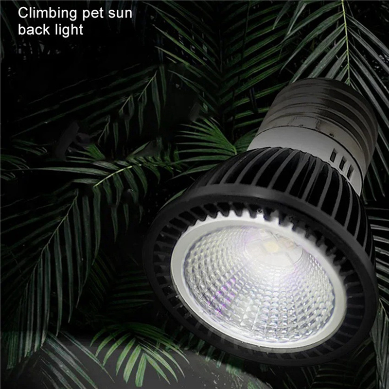A03F-5X 110V Reptile UVB Light - مراجعة Calcium Powder Reptile وسعره