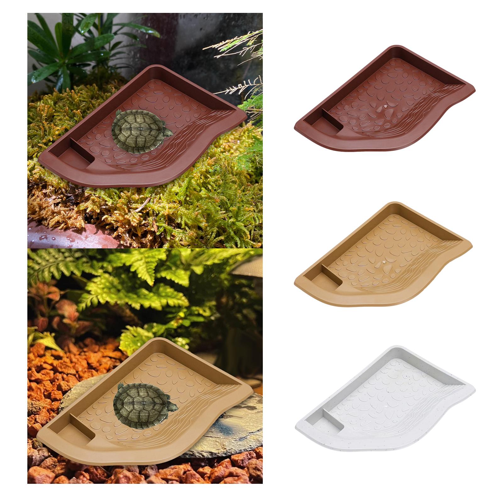 Reptile Pool Water Dish, Torto - مراجعة Water Dish Reptile وسعره
