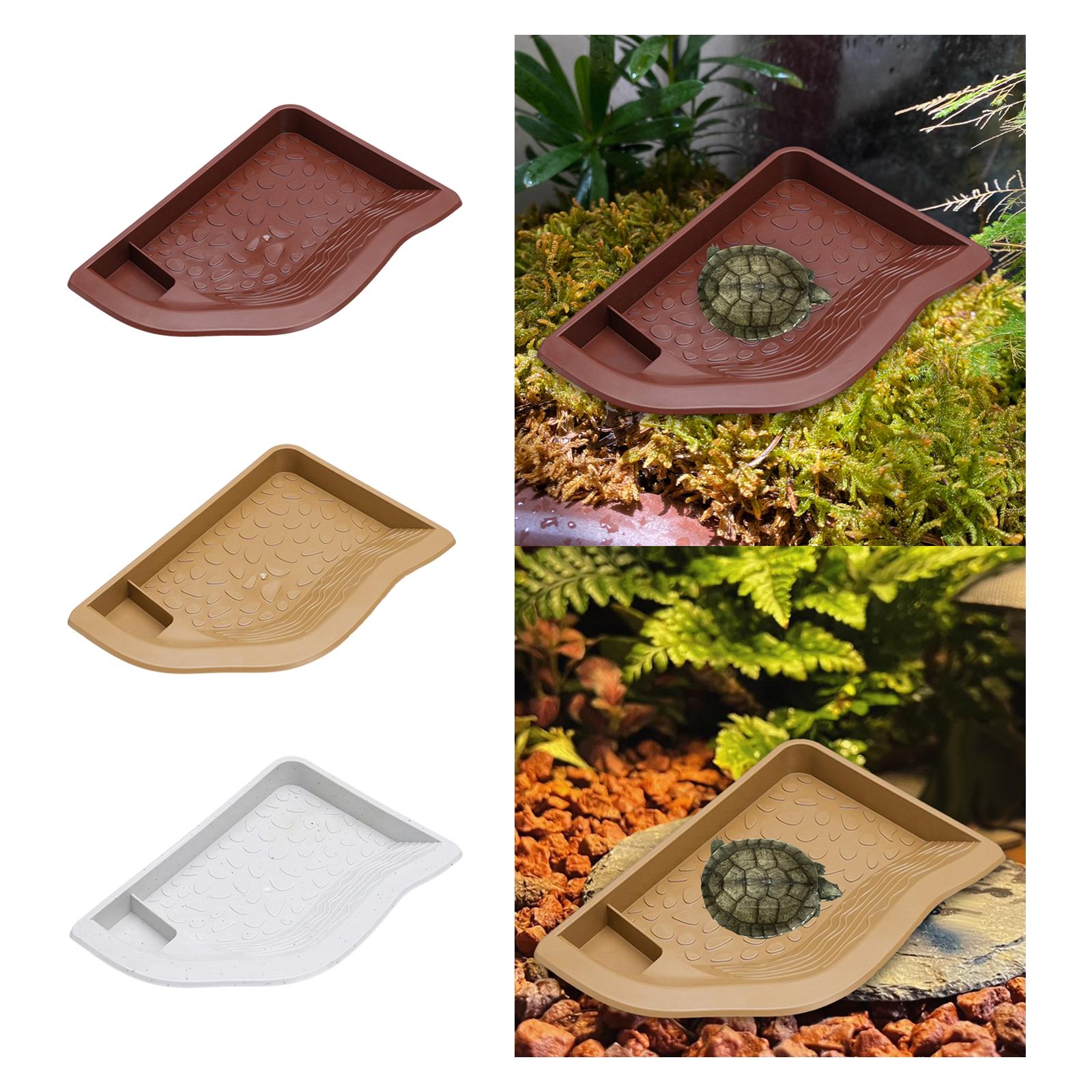 Reptile Pool Water Dish, Torto - مراجعة Water Dish Reptile وسعره