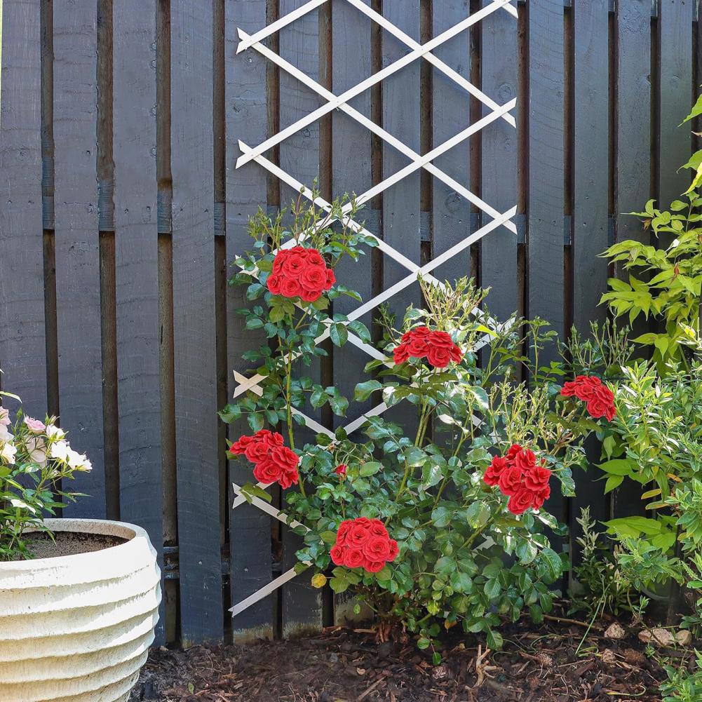 Expandable Garden Trellis 70 x - مراجعة Vine Climbing Plastic وسعره