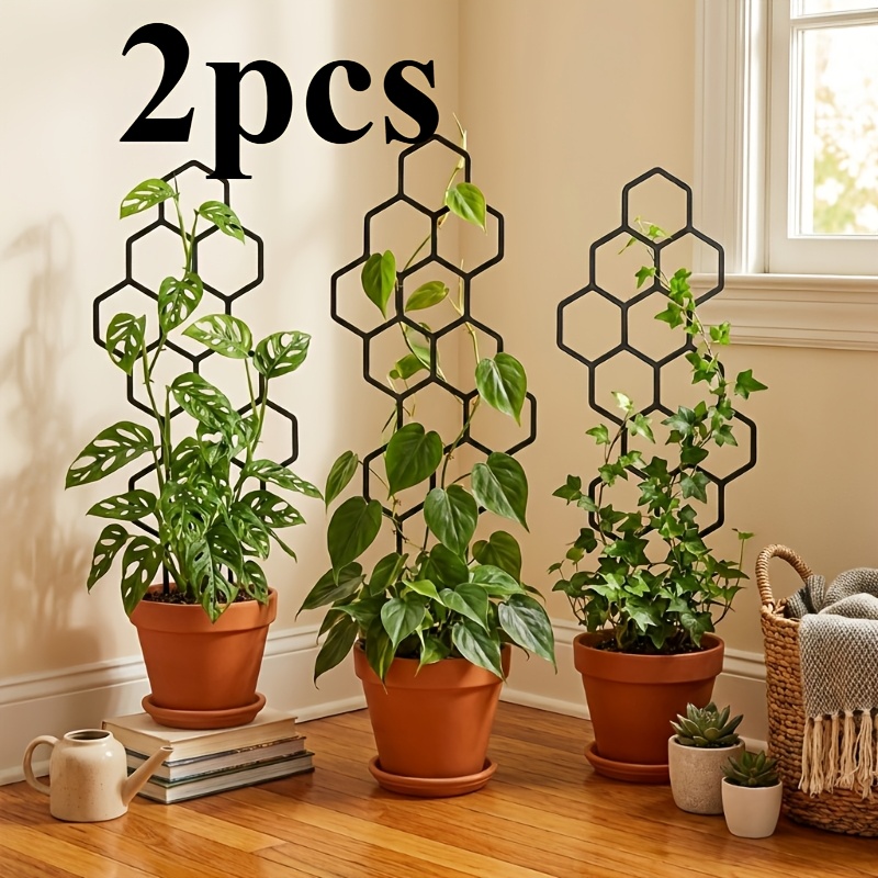 Two Climbing Plant Training De - مراجعة Vine Climbing Plastic وسعره