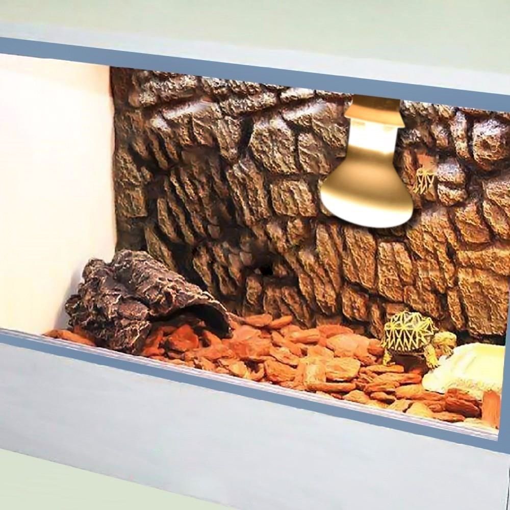 Turtle Temperature Controller  - مراجعة Basking Bulb Halogen وسعره