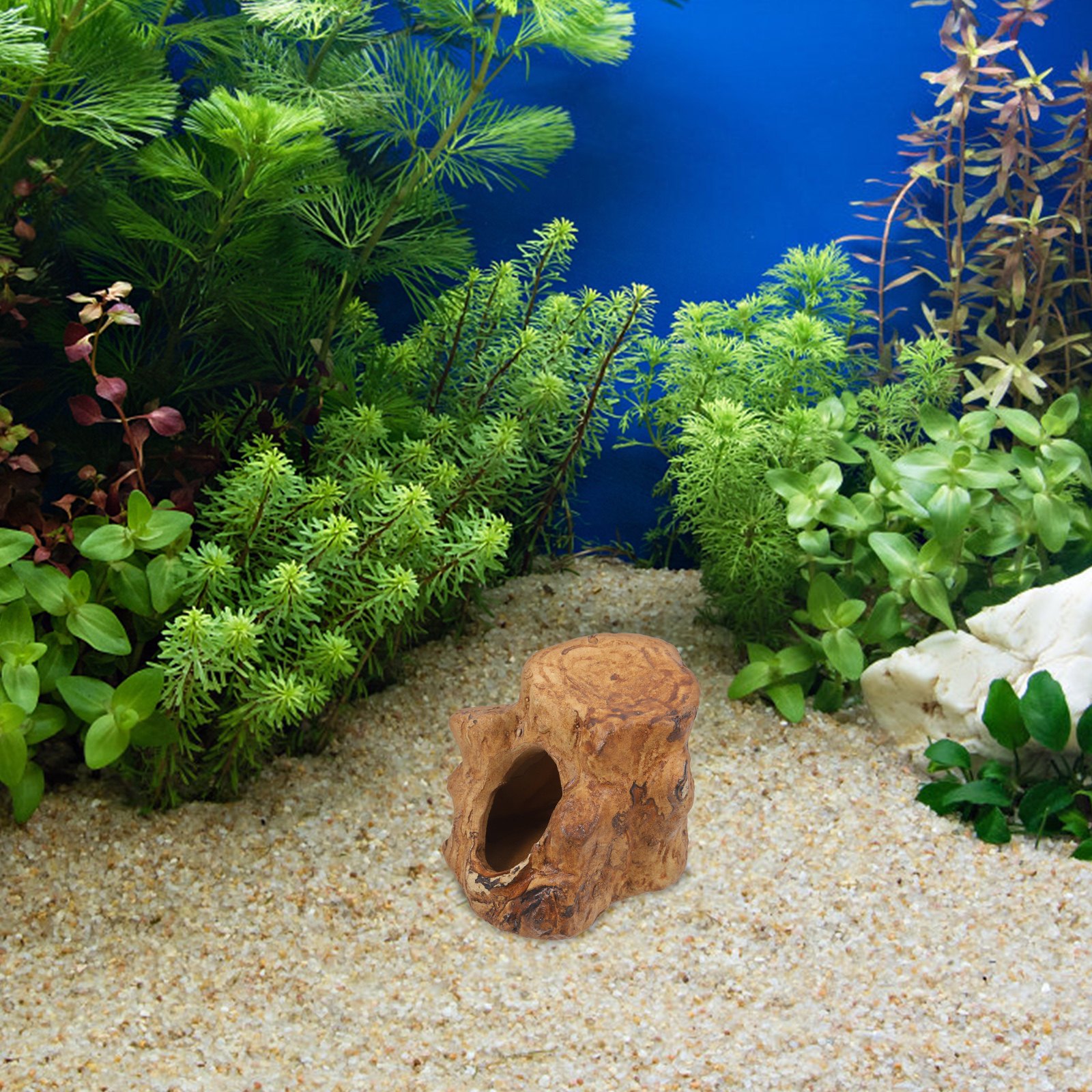 Pleco Caves for Aquarium Fish  - مراجعة Hide Cave Ceramic وسعره