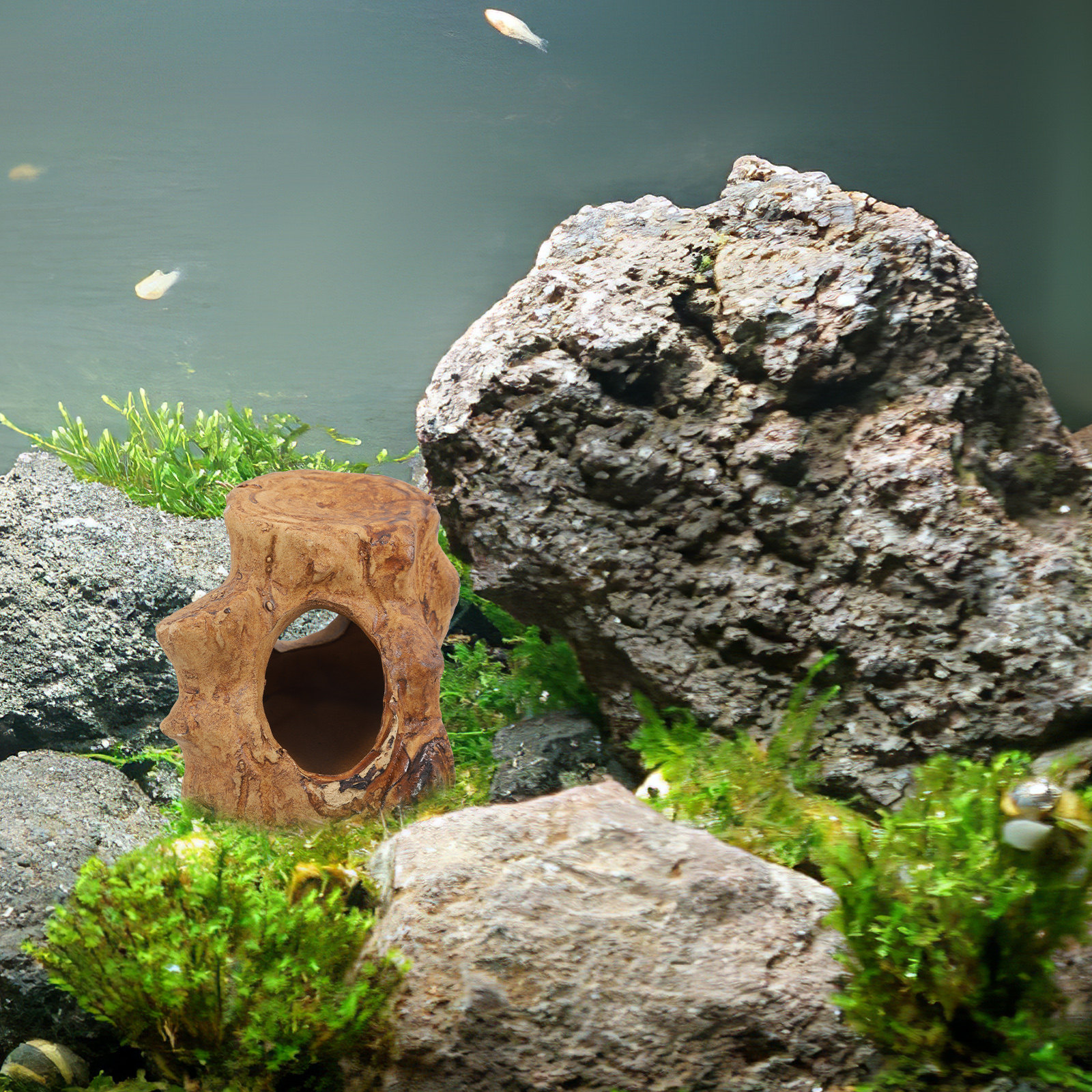 Pleco Caves for Aquarium Fish  - مراجعة Hide Cave Ceramic وسعره