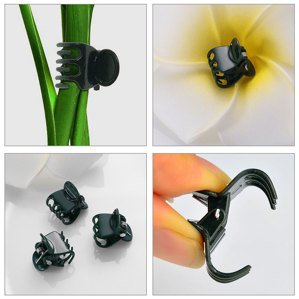60Pcs Plastic Plant Clips Gard - مراجعة Vine Climbing Plastic وسعره