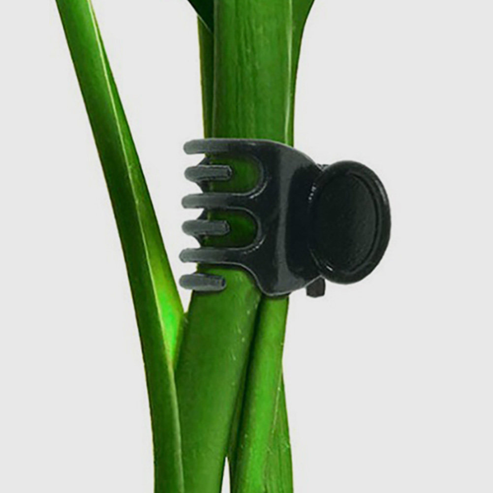 60Pcs Plastic Plant Clips Gard - مراجعة Vine Climbing Plastic وسعره