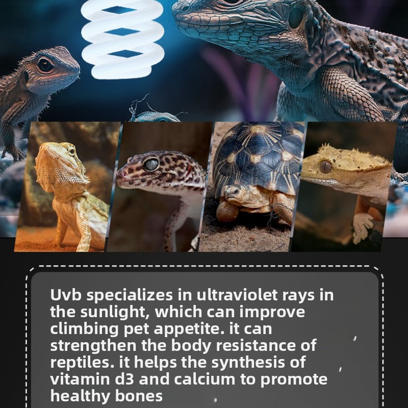NOMOY 26W UVB Reptile Light Ca - مراجعة Vitamin D3 Reptile وسعره