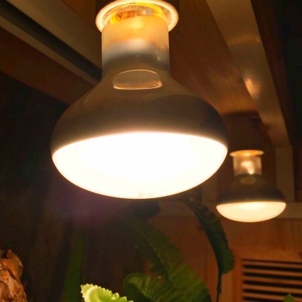 Turtle Heater Temperature Cont - مراجعة Basking Bulb Halogen وسعره