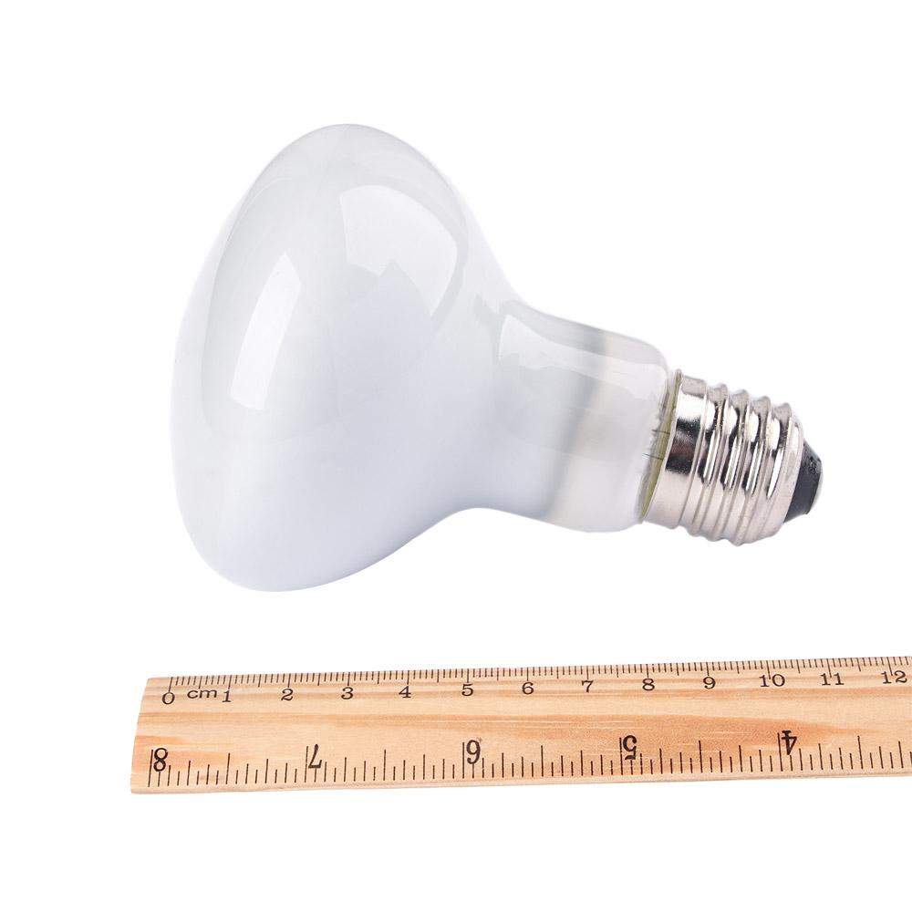 Turtle Heater Temperature Cont - مراجعة Basking Bulb Halogen وسعره