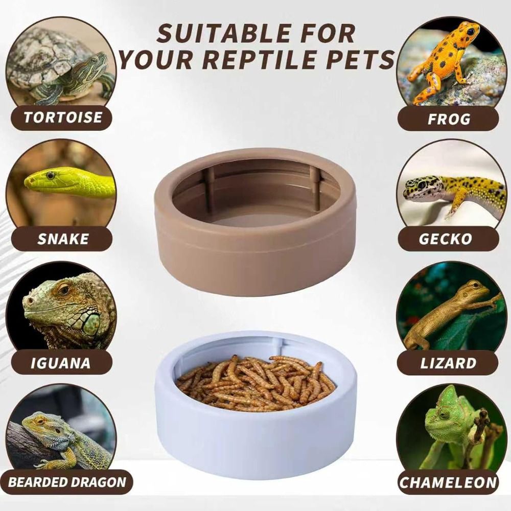 Portable Escape-Proof Reptile  - مراجعة Water Dish Reptile وسعره