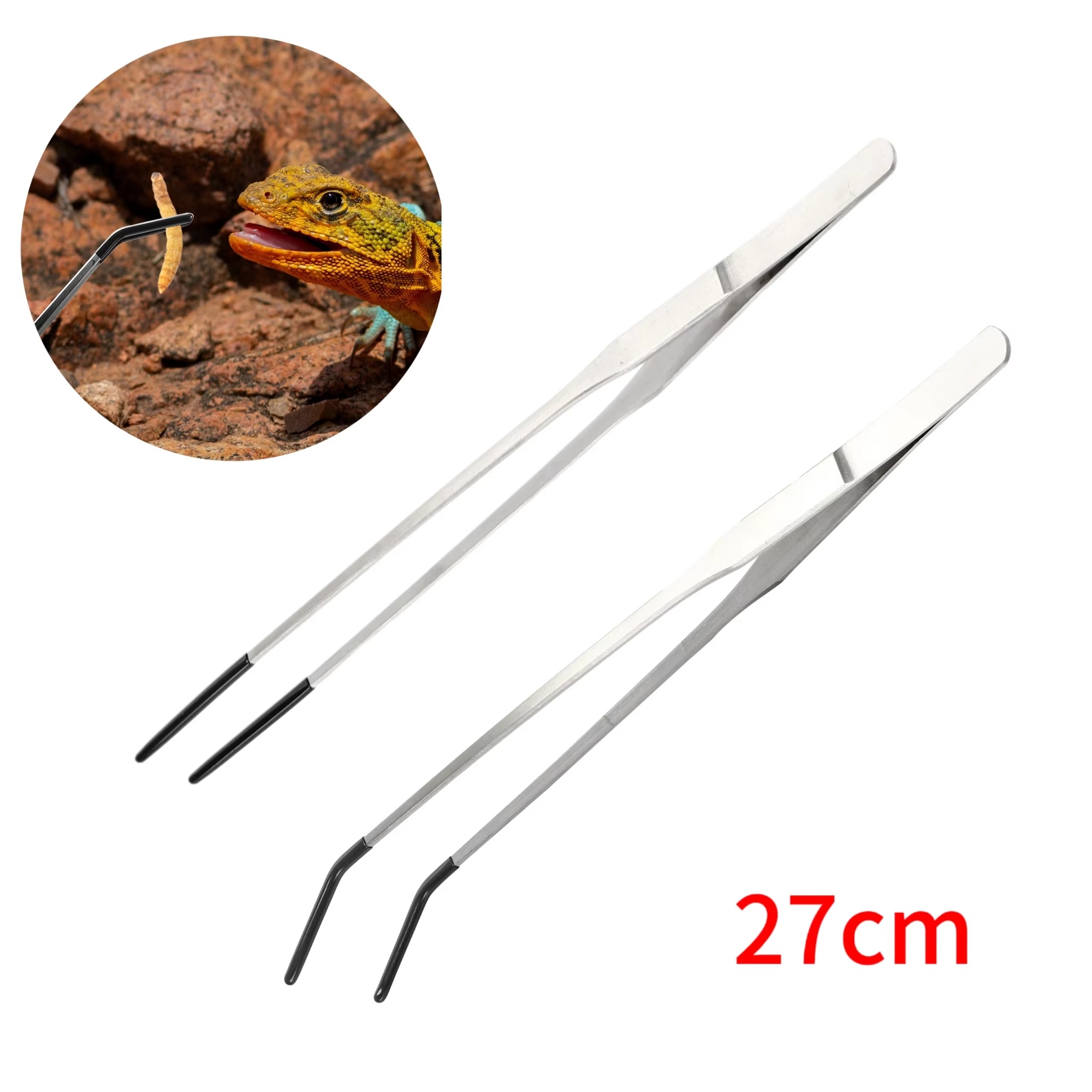 Stainless Steel Reptile Feedin - مراجعة Feeding Tong Stainless وسعره