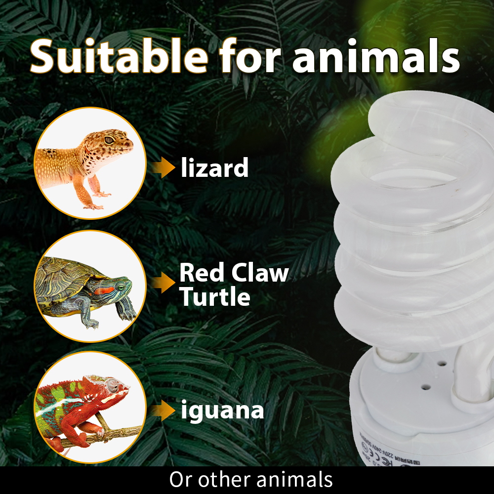26W Pet Box Lamp Calcium Suppl - مراجعة Calcium Powder Reptile وسعره