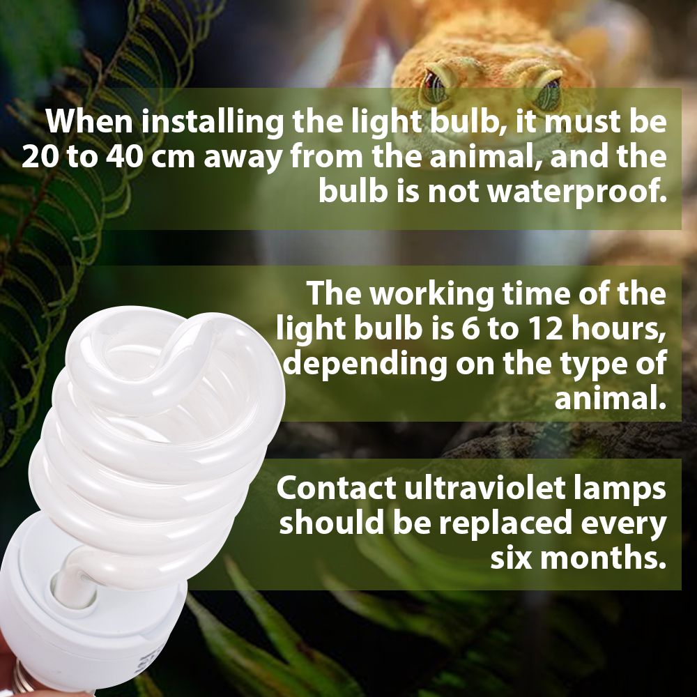 26W Pet Box Lamp Calcium Suppl - مراجعة Calcium Powder Reptile وسعره