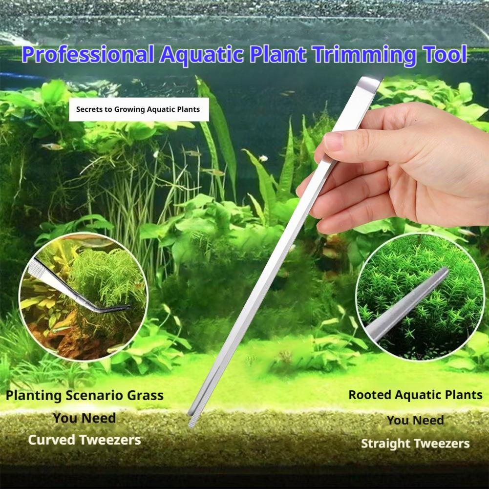 Stainless Steel Aquarium Tweez - مراجعة Feeding Tong Stainless وسعره
