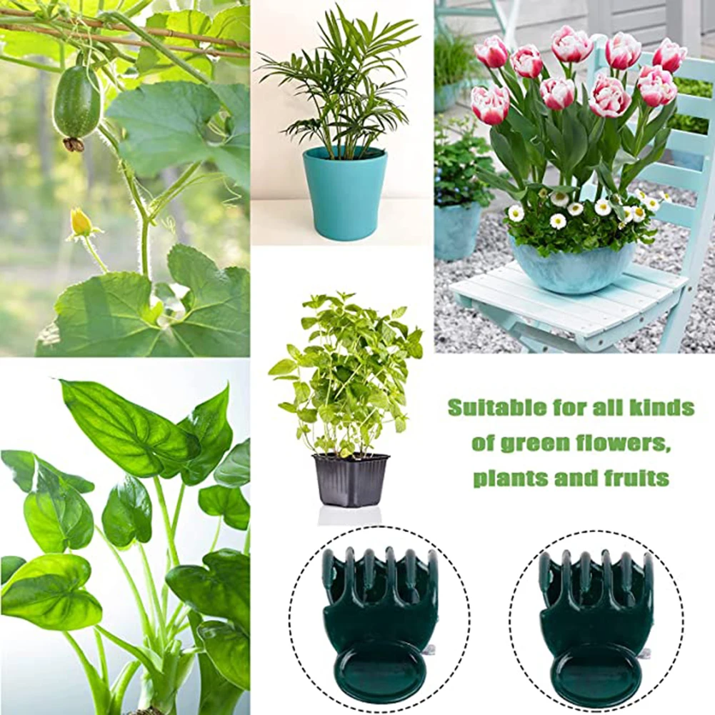 Phalaenopsis Orchid Support Cl - مراجعة Vine Climbing Plastic وسعره