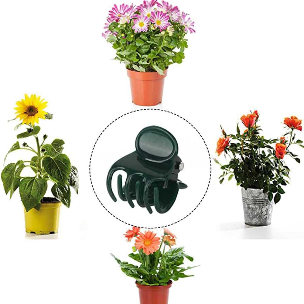 Phalaenopsis Orchid Support Cl - مراجعة Vine Climbing Plastic وسعره