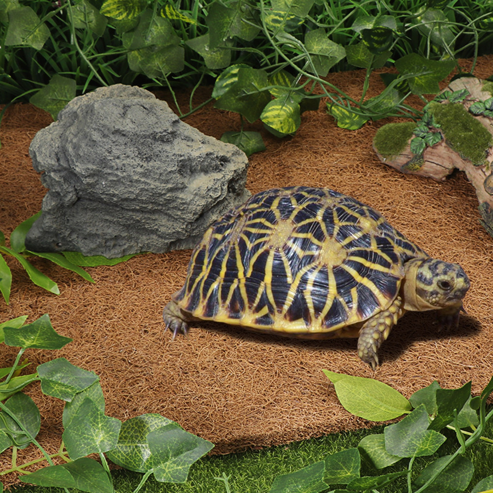Reptile Terrarium Bedding Subs - مراجعة Substrate Coconut Fiber وسعره