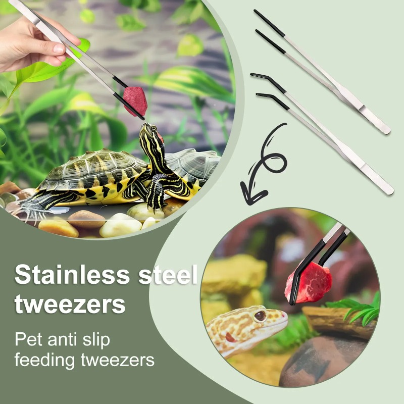 2Pcs Stainless Steel Tweezers  - مراجعة Feeding Tong Stainless وسعره