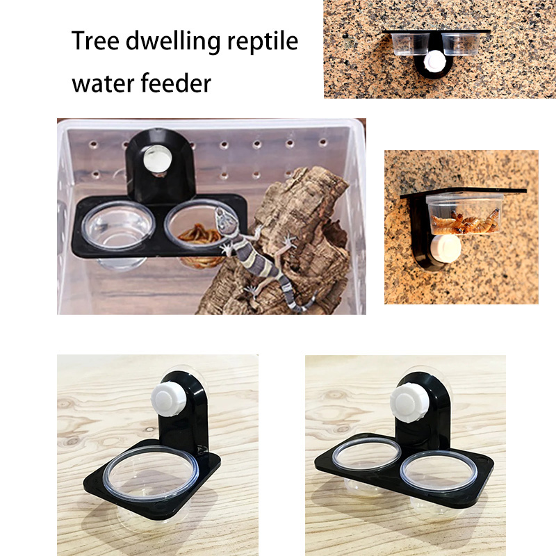 Reptile Tank Accessories Insec - مراجعة Water Dish Reptile وسعره