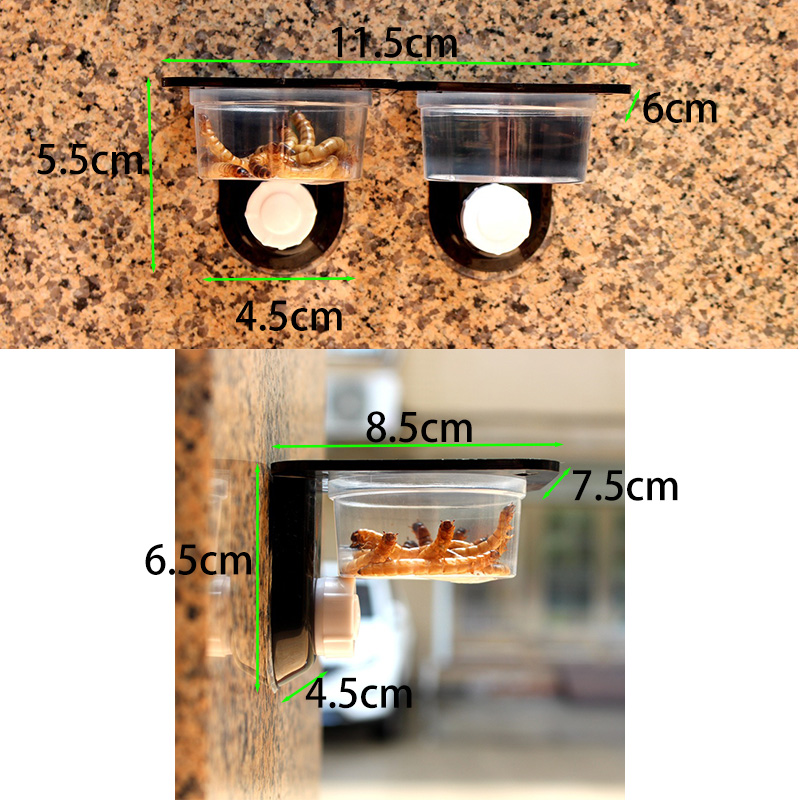 Reptile Tank Accessories Insec - مراجعة Water Dish Reptile وسعره