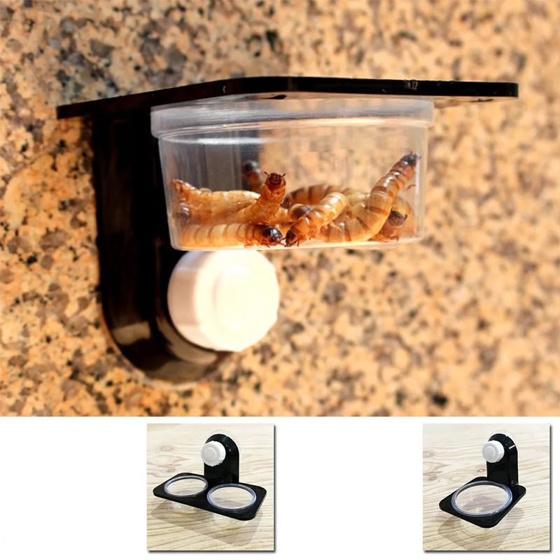 Reptile Tank Accessories Insec - مراجعة Water Dish Reptile وسعره