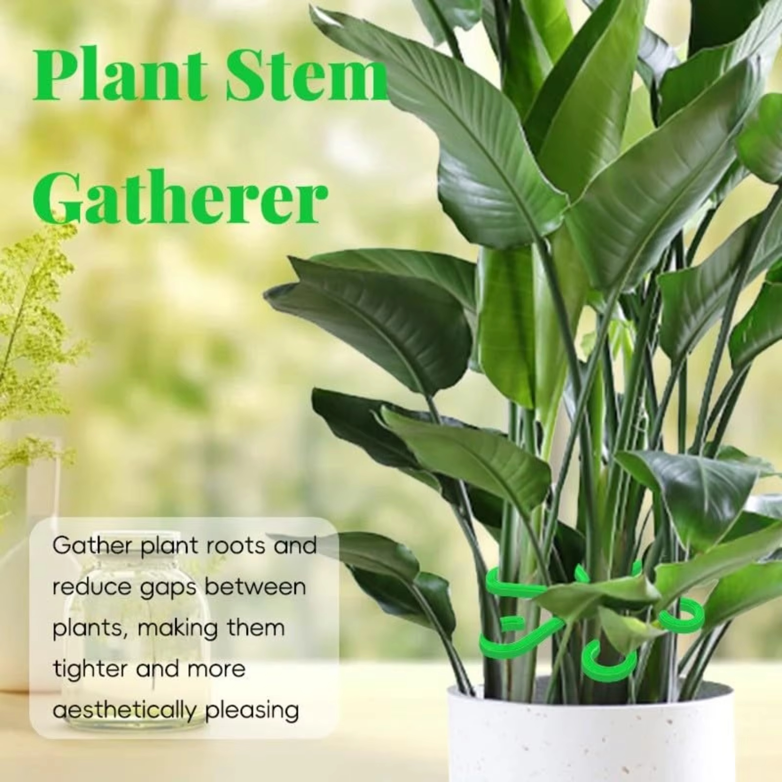 Adjustable Plant Support Stake - مراجعة Vine Climbing Plastic وسعره