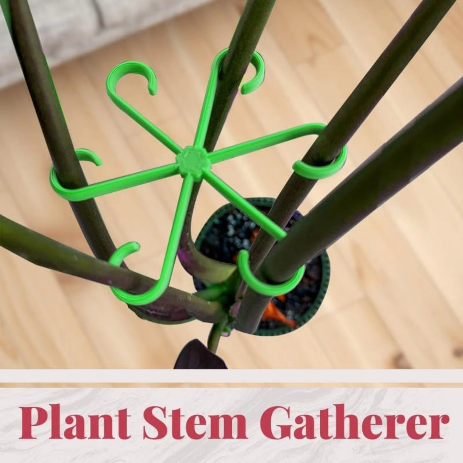 Adjustable Plant Support Stake - مراجعة Vine Climbing Plastic وسعره