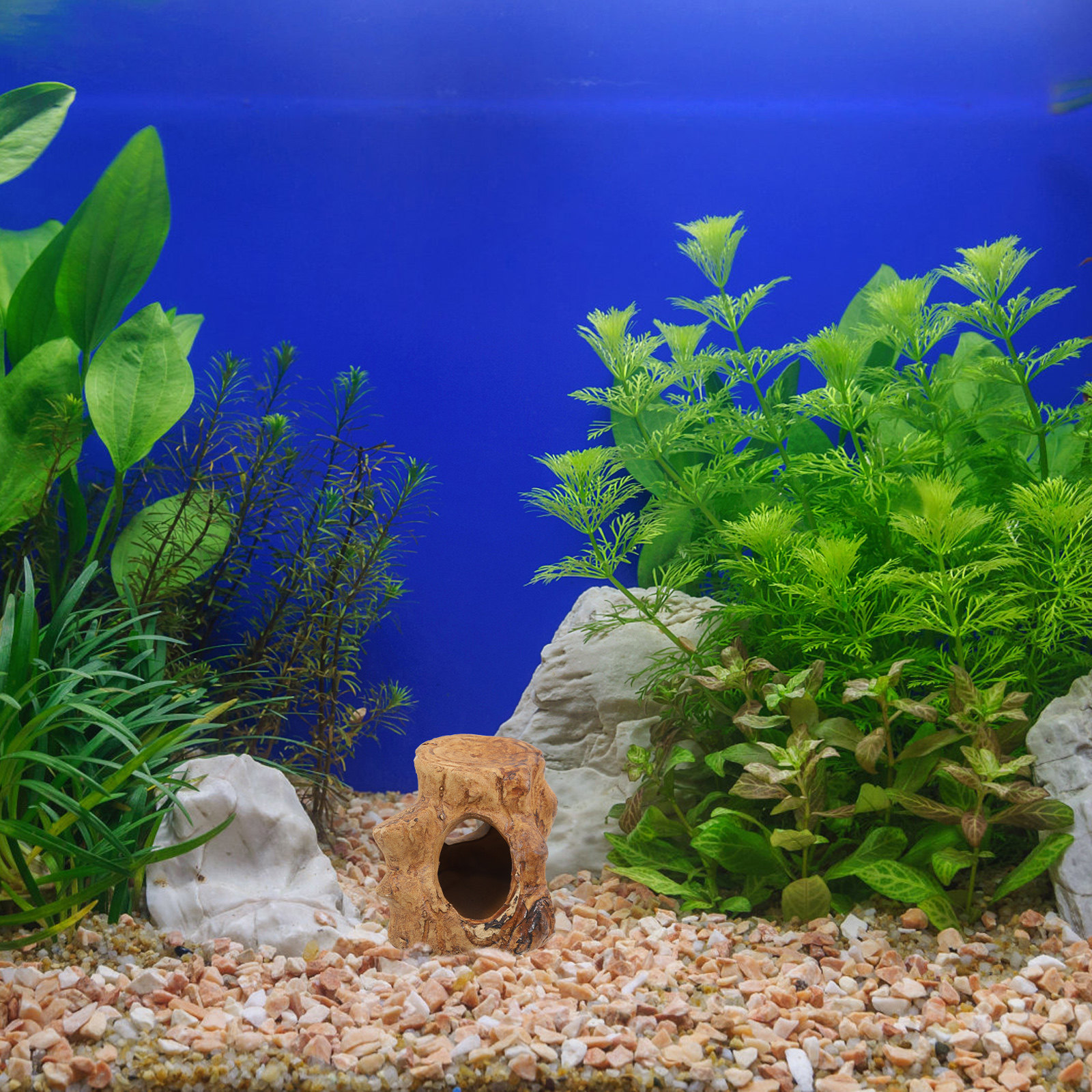 Pleco Caves Fish Tank Decorati - مراجعة Hide Cave Ceramic وسعره