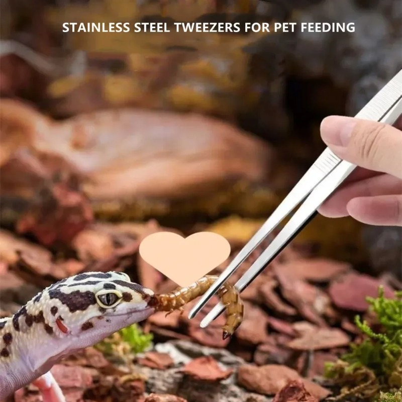 Stainless Multifuctional Steel - مراجعة Feeding Tong Stainless وسعره