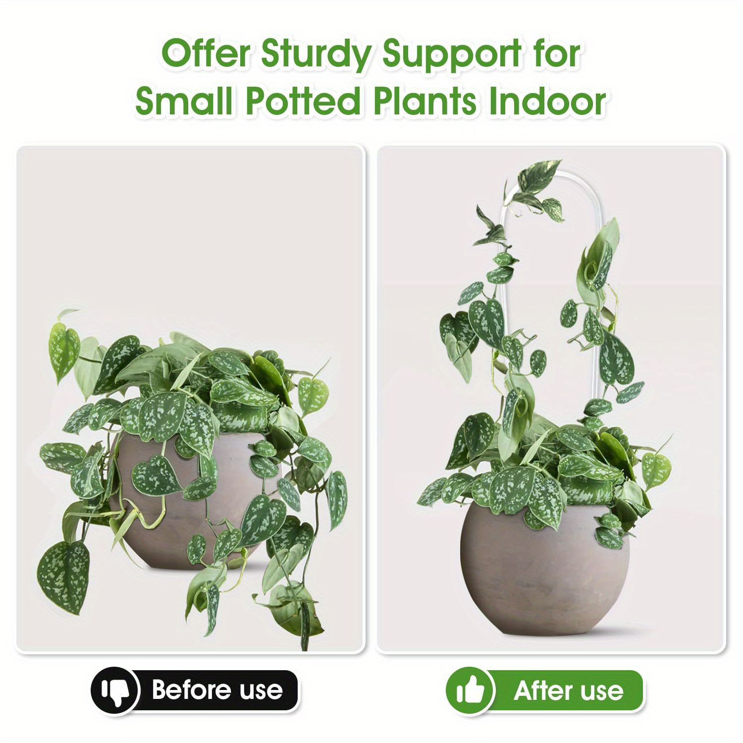 3pc u-shaped acrylic plant cli - مراجعة Vine Climbing Plastic وسعره