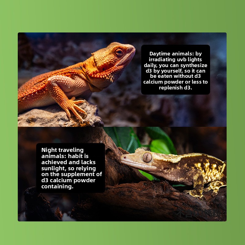Reptizoo Reptile Calcium Powde - مراجعة Vitamin D3 Reptile وسعره