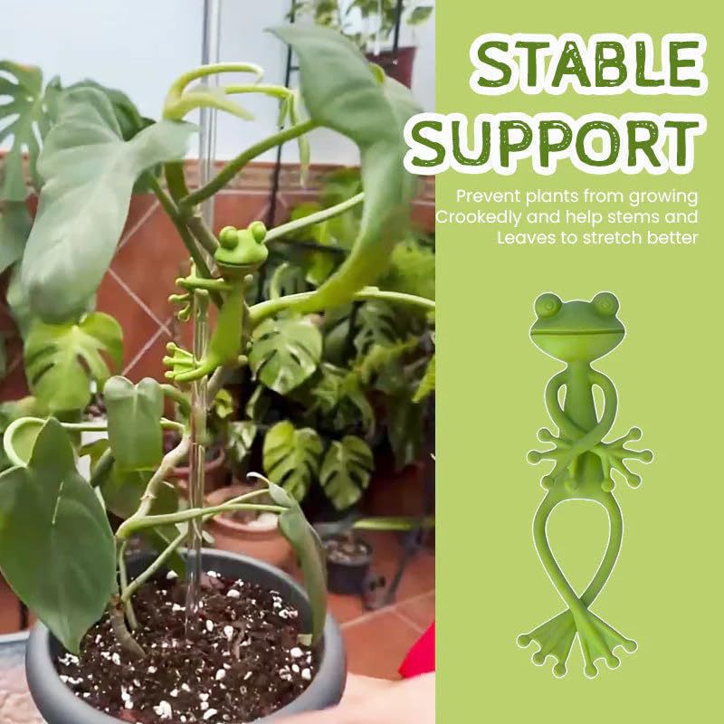 Frog Plant Stand Frog Plant St - مراجعة Vine Climbing Plastic وسعره