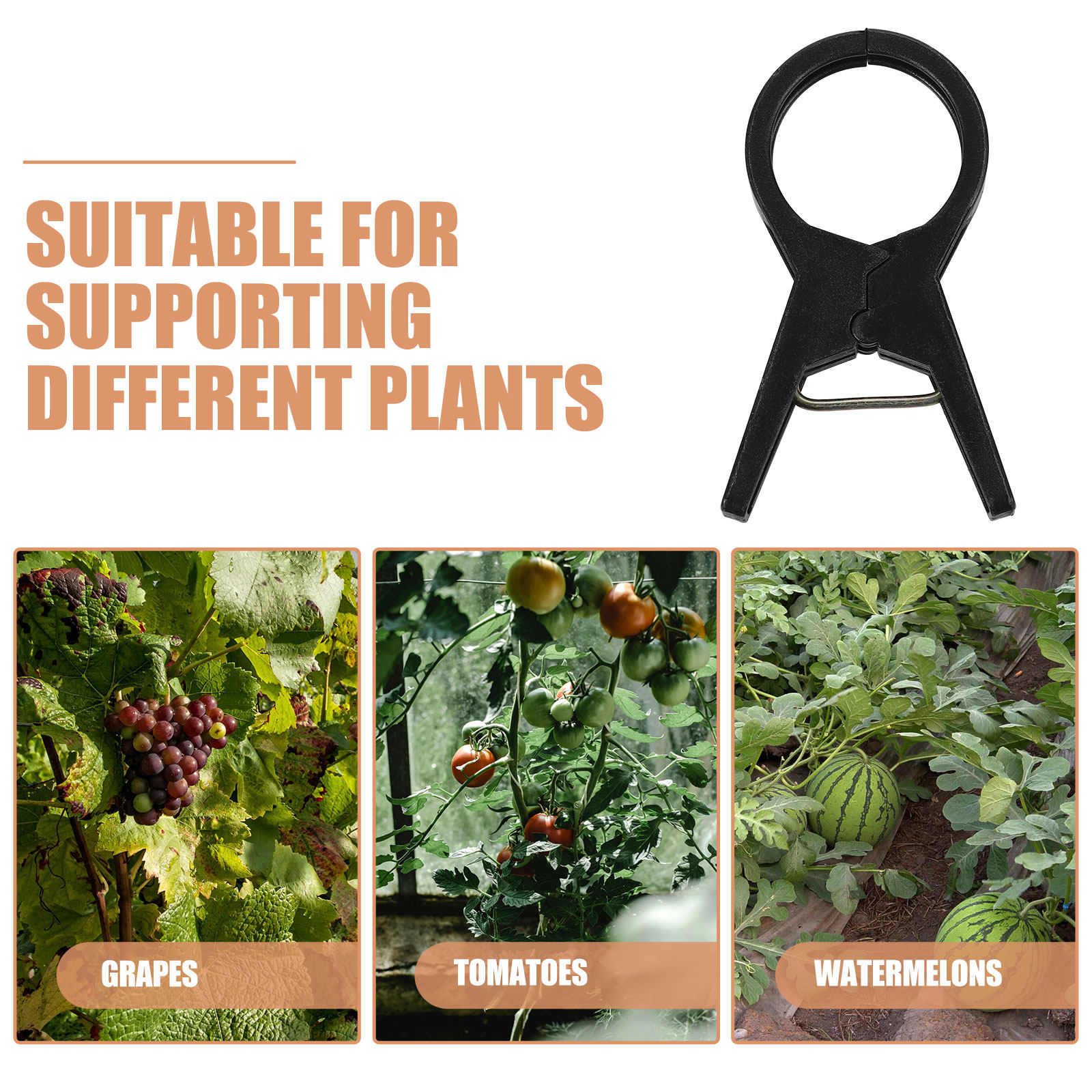 100Pcs Plastic Plant Support C - مراجعة Vine Climbing Plastic وسعره