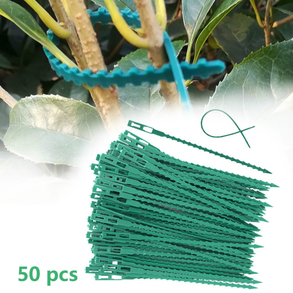 50Pcs Reusable Adjustable Plas - مراجعة Vine Climbing Plastic وسعره