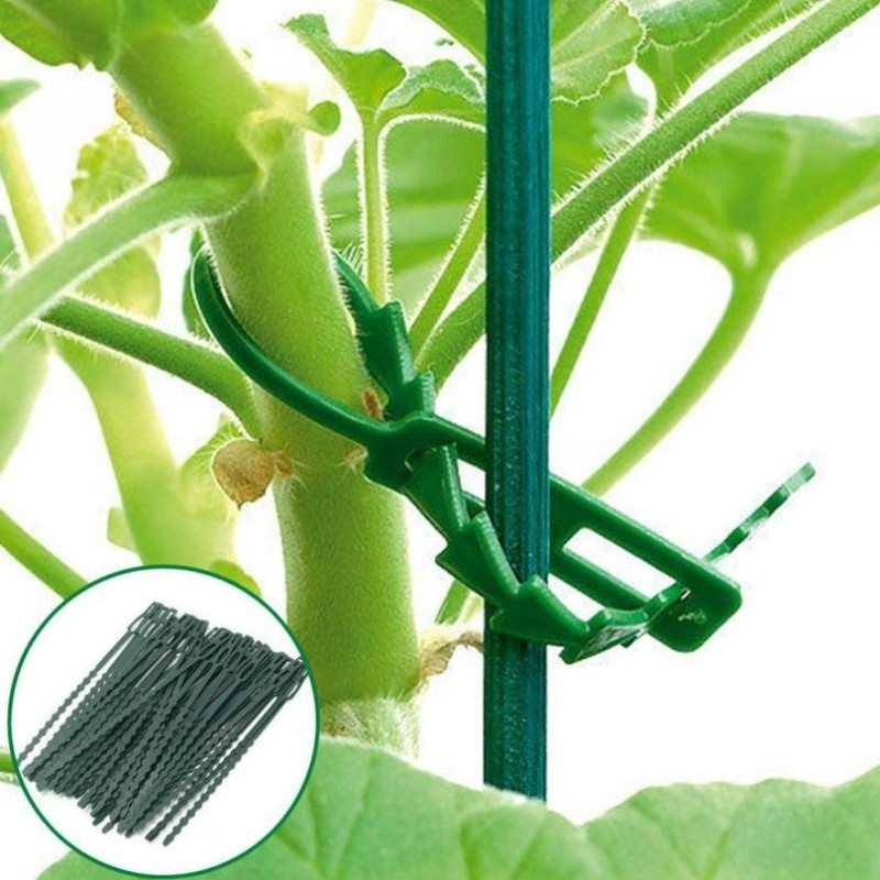50Pcs Reusable Adjustable Plas - مراجعة Vine Climbing Plastic وسعره