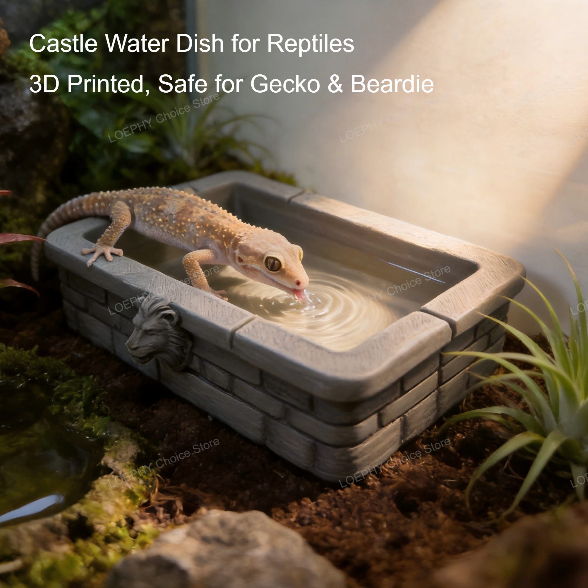 Reptile Water Bowl 3D Printed  - مراجعة Water Dish Reptile وسعره