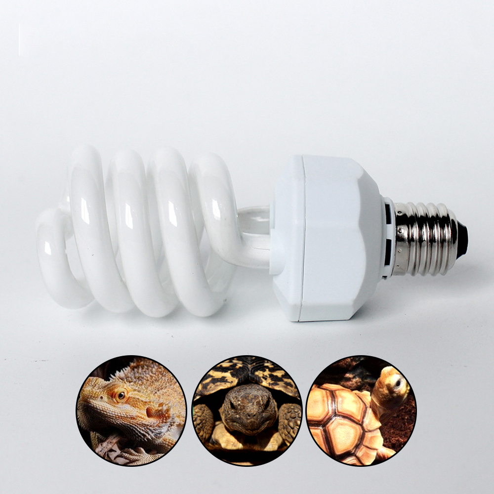 UVB 26w Desert Reptile Light E - مراجعة Calcium Powder Reptile وسعره