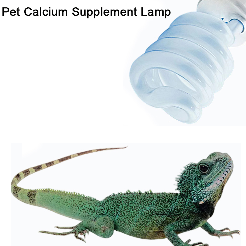 E27 13W/26W Reptile Uvb Lamp   - مراجعة Calcium Powder Reptile وسعره