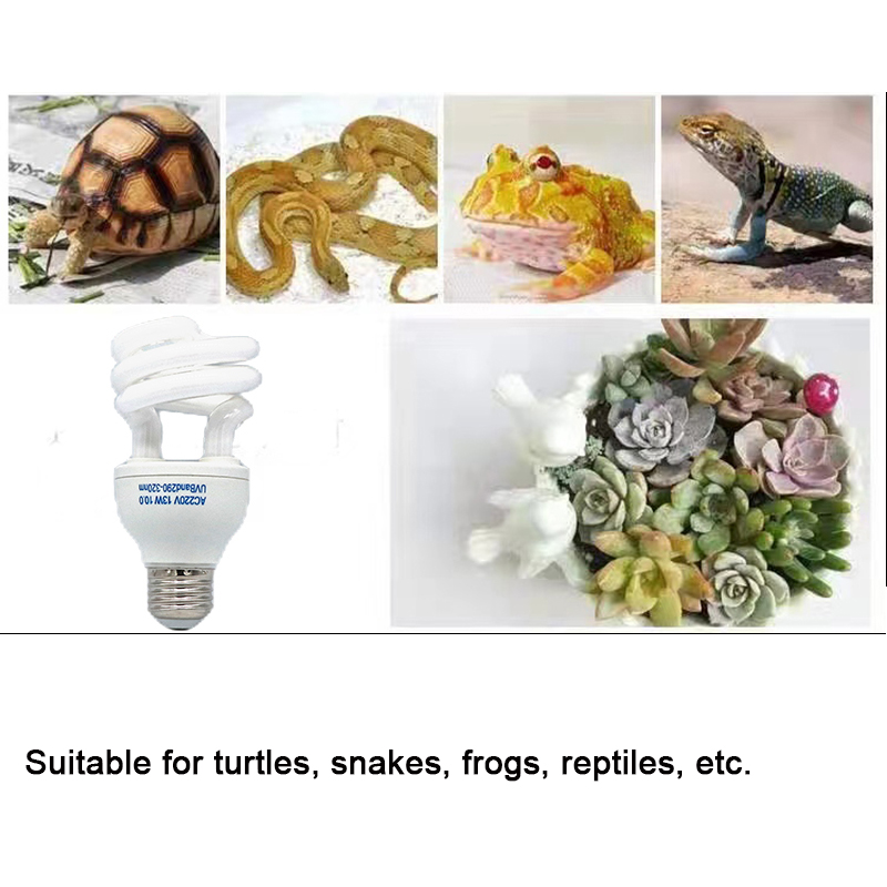 E27 13W/26W Reptile Uvb Lamp   - مراجعة Calcium Powder Reptile وسعره