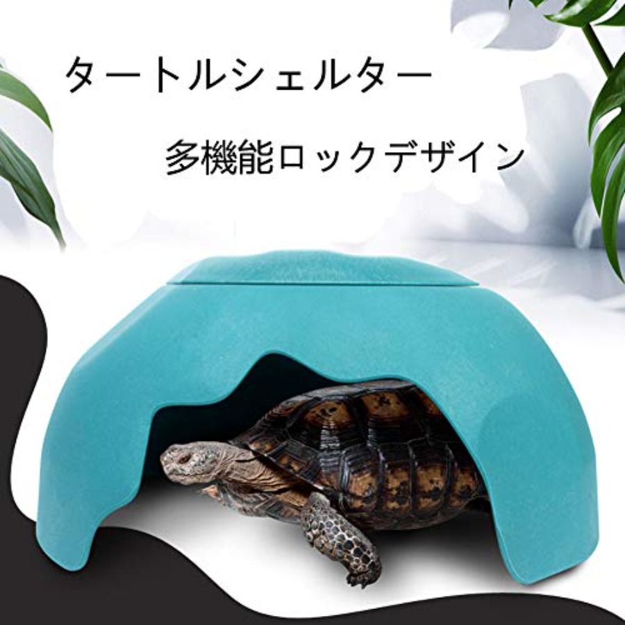 【Spot goods】Reptiles House wit - مراجعة Hide Cave Ceramic وسعره