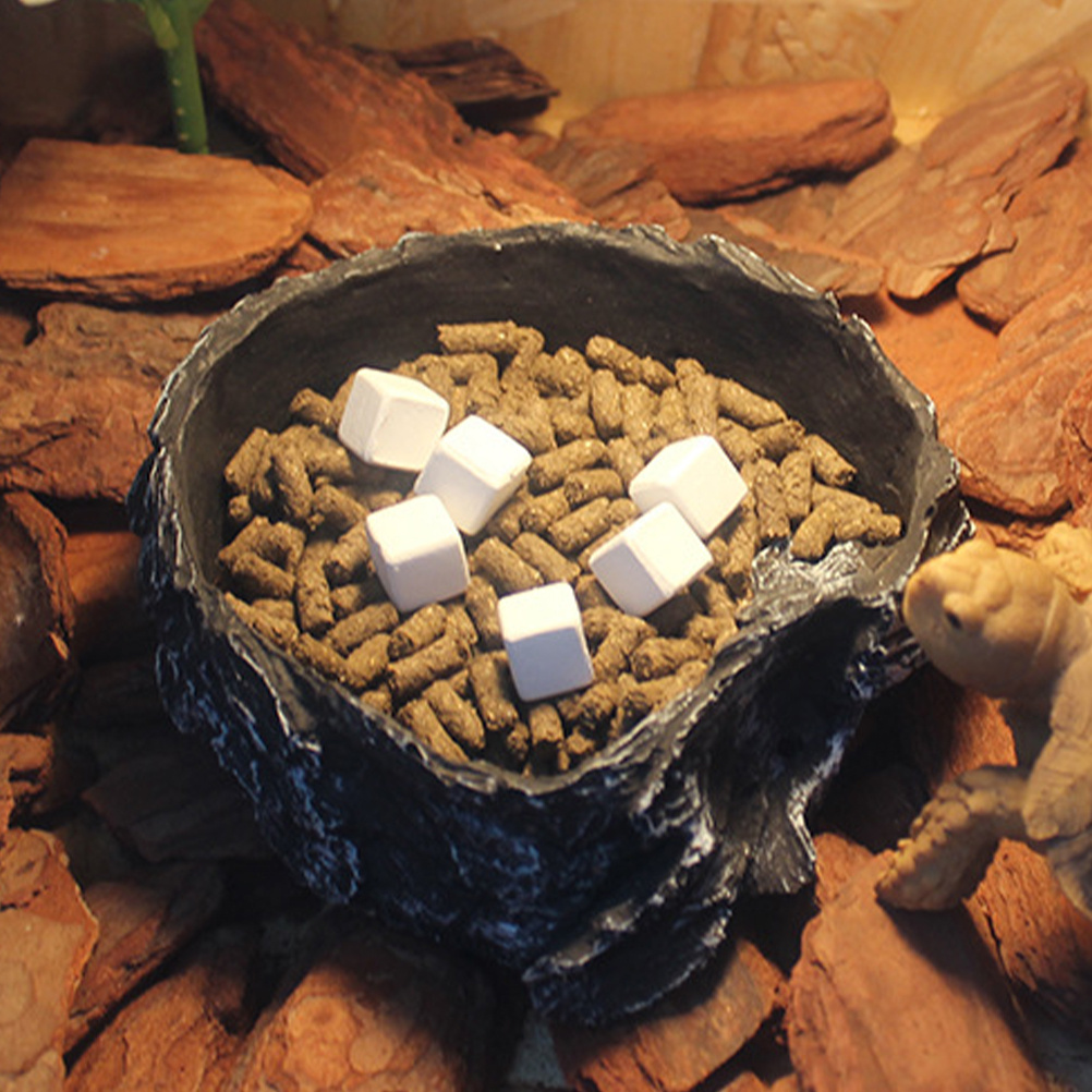6Pcs Tortoise Tank Calcium Cub - مراجعة Calcium Powder Reptile وسعره