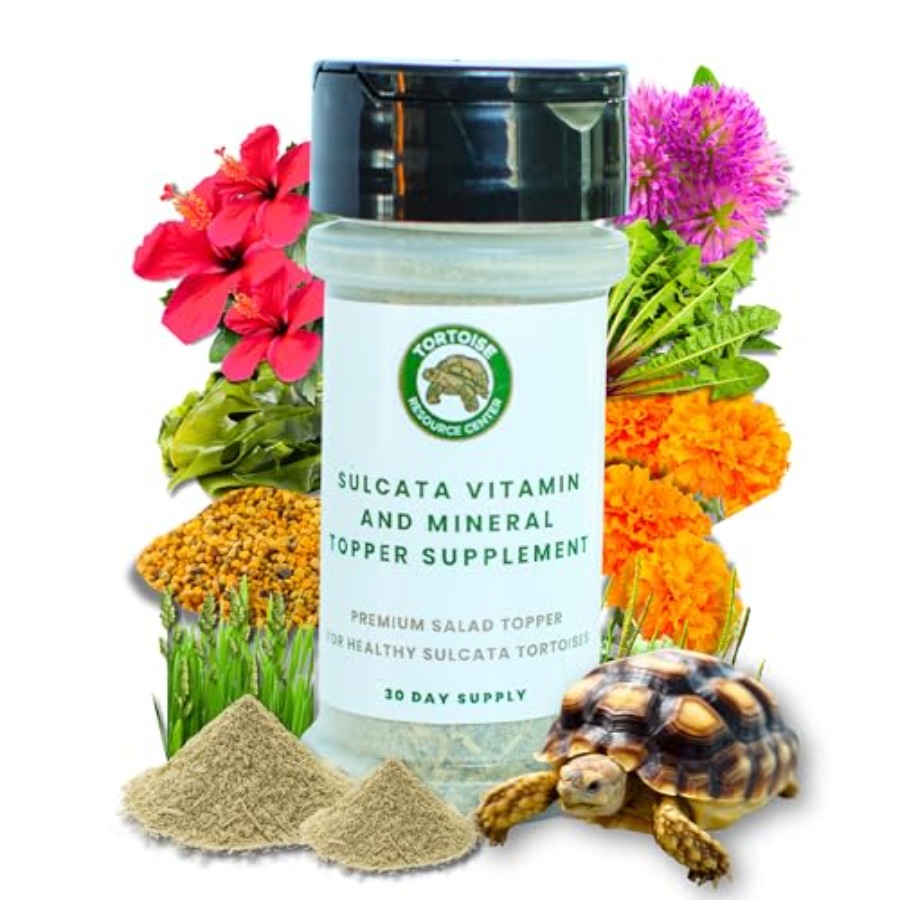 【Spot goods】Sulcata Tortoise C - مراجعة Calcium Powder Reptile وسعره