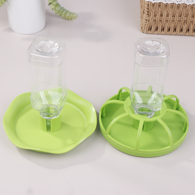 C Reptile Water Drinker Dispen - مراجعة Water Dish Reptile وسعره