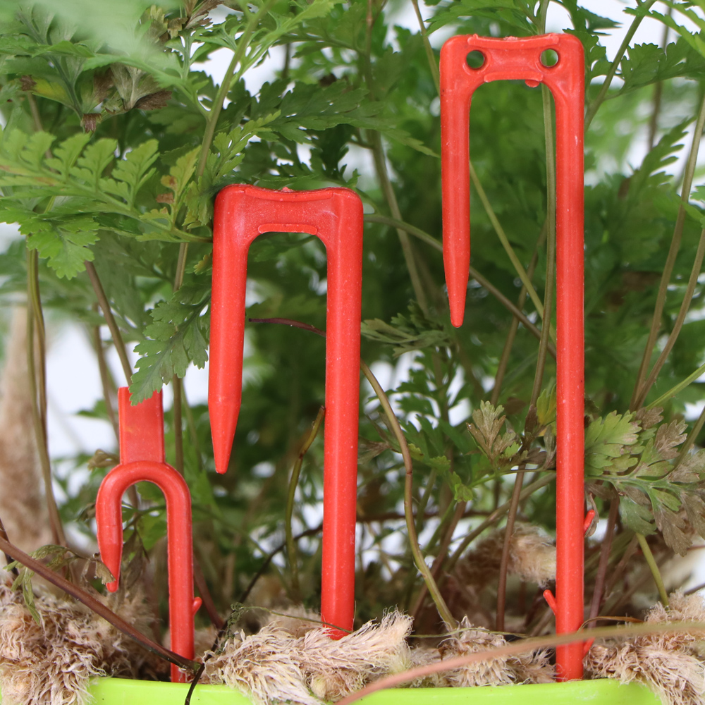 20-50PCS Strawberry Planting F - مراجعة Vine Climbing Plastic وسعره