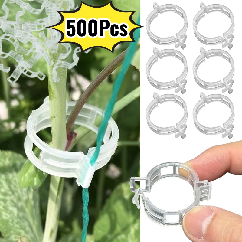 500Pcs Plastic Plant Support C - مراجعة Vine Climbing Plastic وسعره